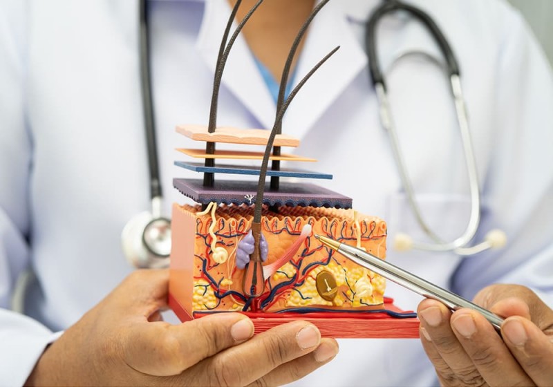छाला, यौन तथा सौन्दर्य विभाग (Department of Dermatology & Venereology)