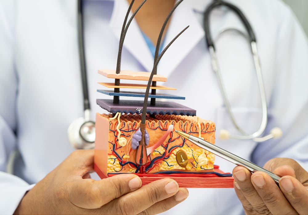 छाला, यौन तथा सौन्दर्य विभाग (Department of Dermatology & Venereology)